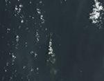 A Growth Spurt for Home Reef