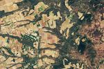 Spotting Disruptions to Earth’s Vegetation