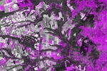 Spotting Disruptions to Earth&rsquo;s Vegetation