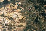 Spotting Disruptions to Earth&rsquo;s Vegetation