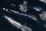 Large Fire Footprint on Faraway Amsterdam Island