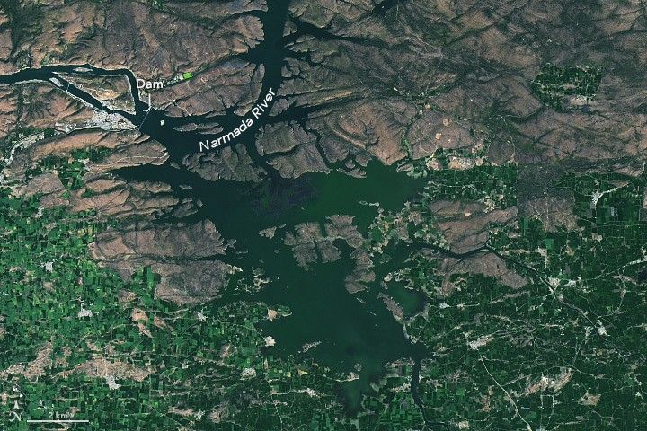 Floating Solar in Madhya Pradesh