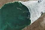 Signs of Life in Thawing Lake Erie