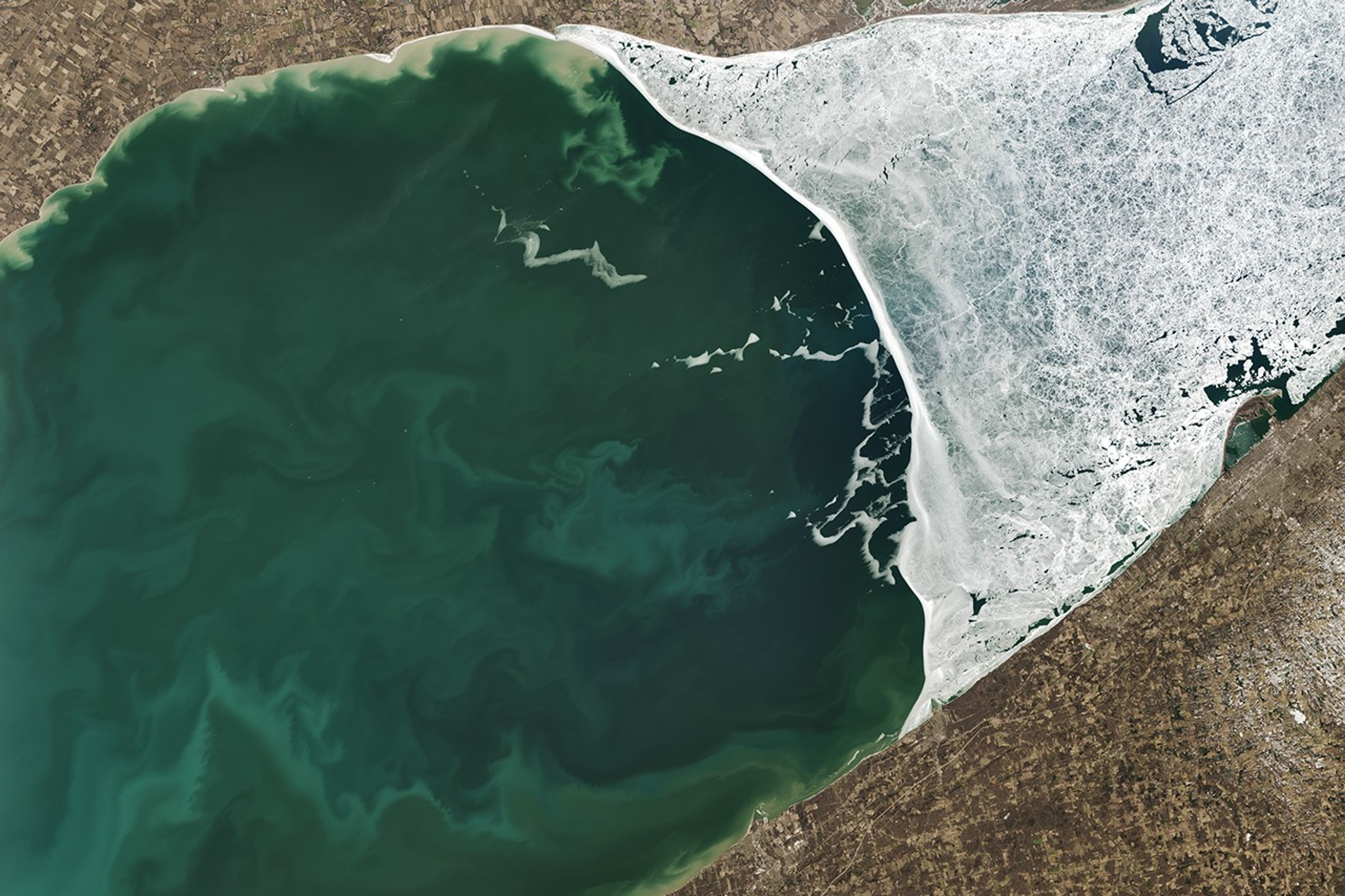 Signs of Life in Thawing Lake Erie