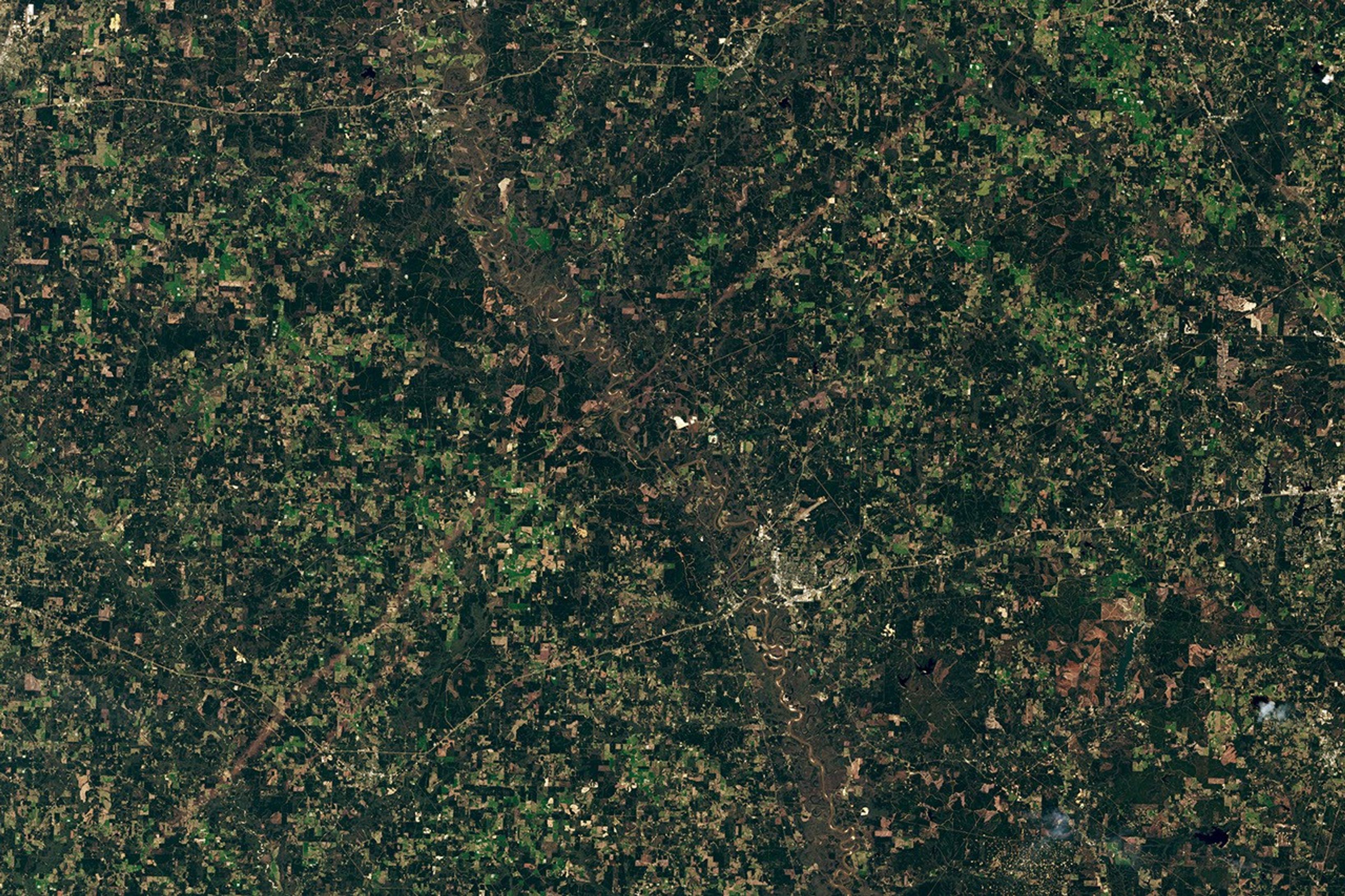 Tornadoes Rip Through Mississippi&nbsp;