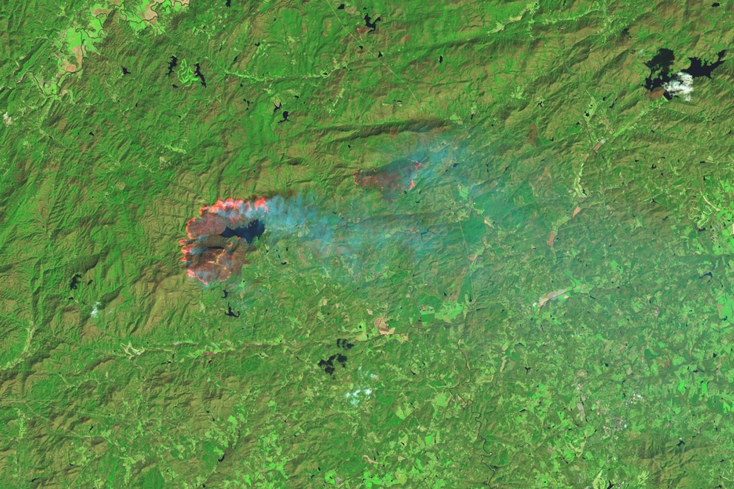 Wildland Fires Char U.S. Southeast Forests