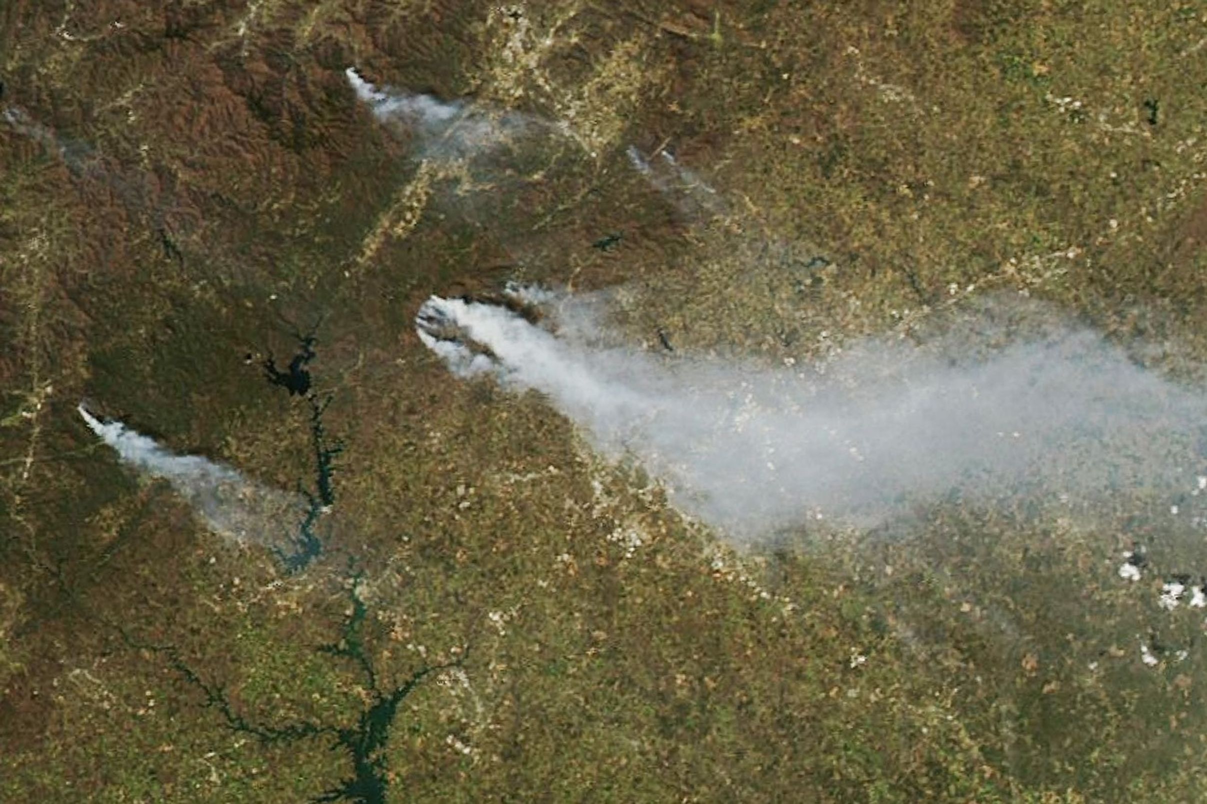 Wildland Fires Char U.S. Southeast Forests