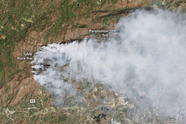 Wildland Fires Char U.S. Southeast Forests