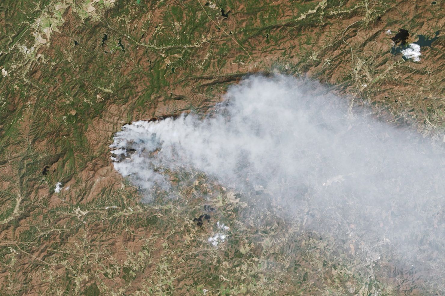 Wildland Fires Char U.S. Southeast Forests