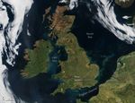 Blooming British Isles