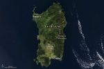 The Staying Power of Sardinia