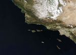 North America’s “Galapagos”