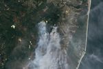 New Jersey Pine Barrens Ablaze
