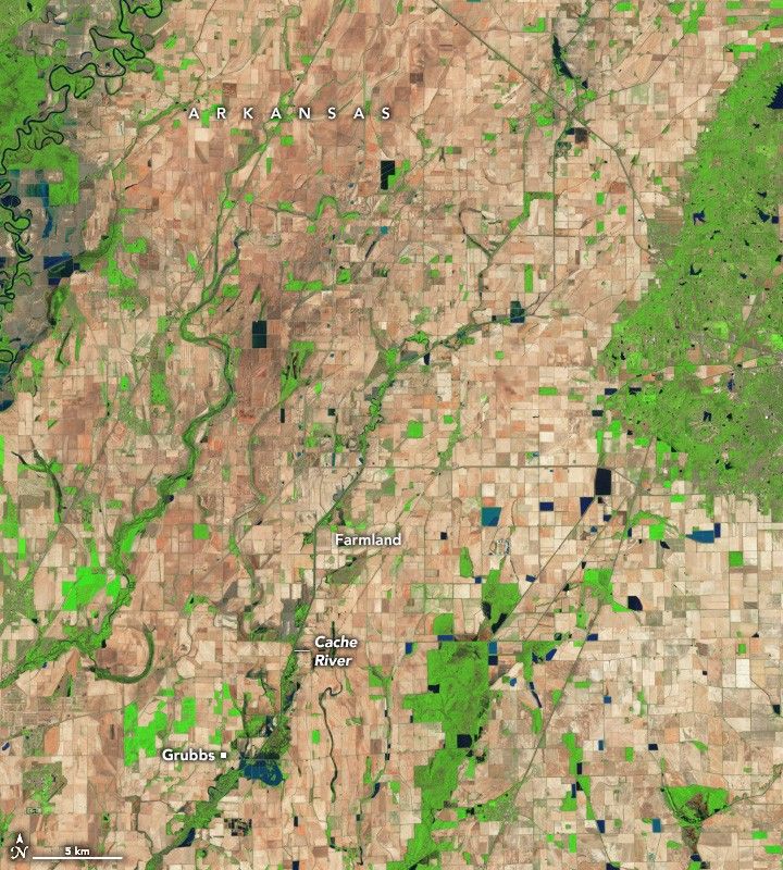 Arkansas Farmers Face Lingering Floodwaters