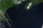 Mapping the Tiny Plankton That Feed Giant Right Whales
