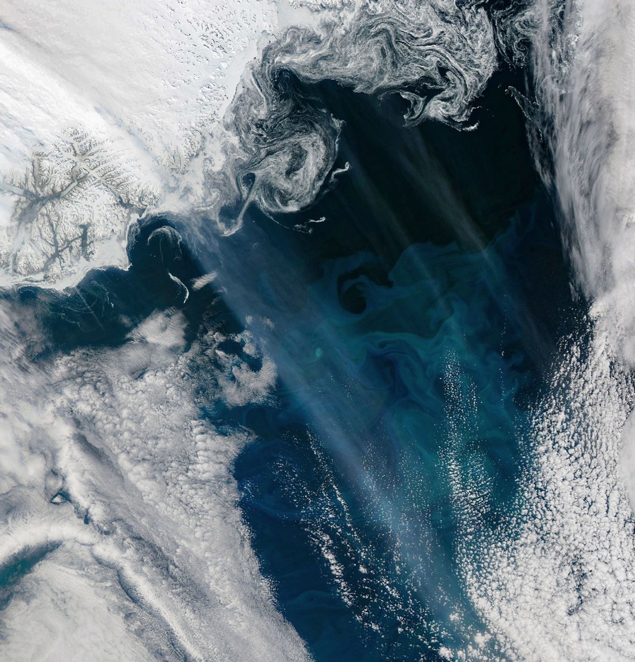 Smoky Skies and Blooming Seas