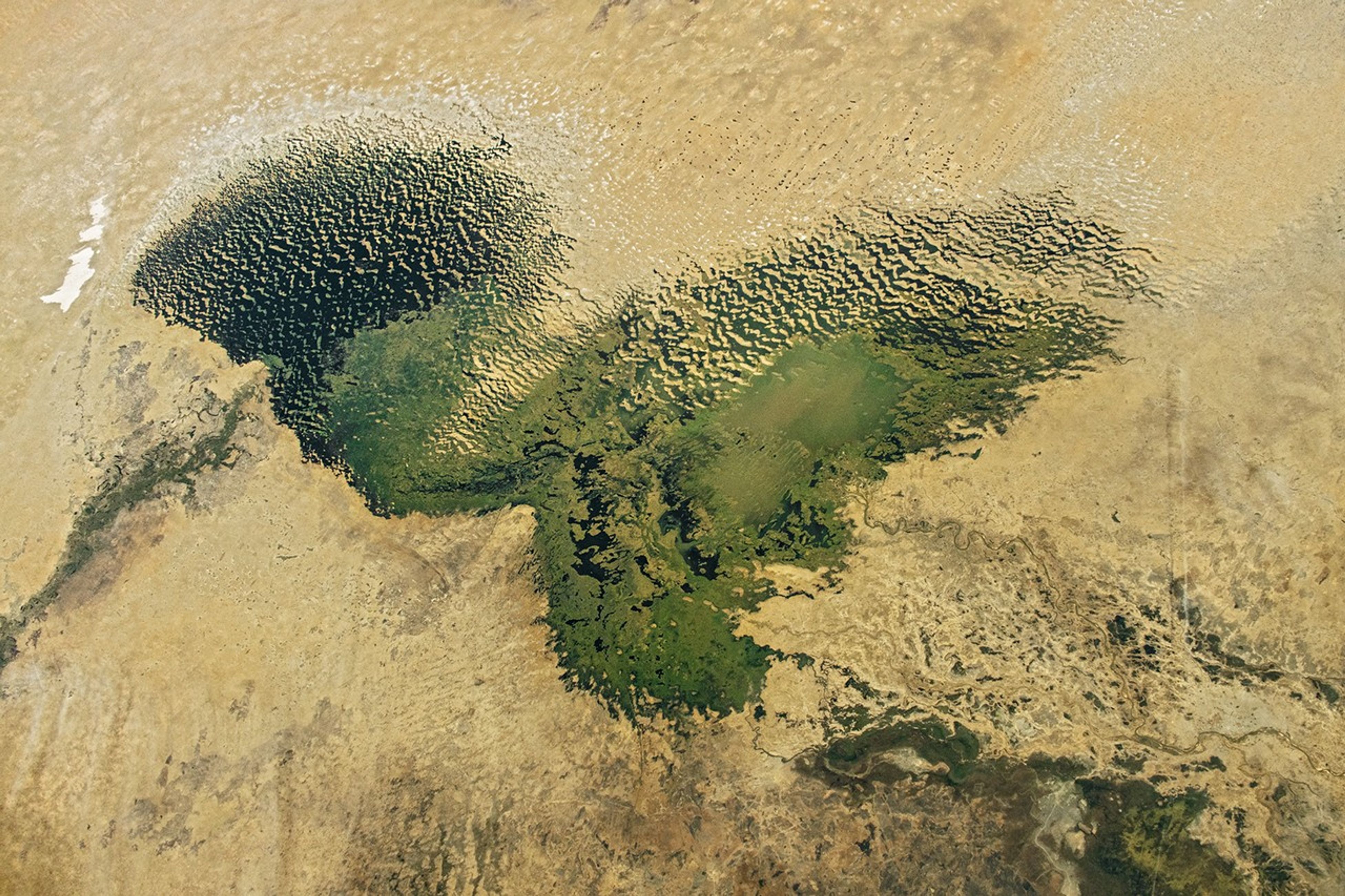 Lake Chad’s Water, Wetlands, and Dunes