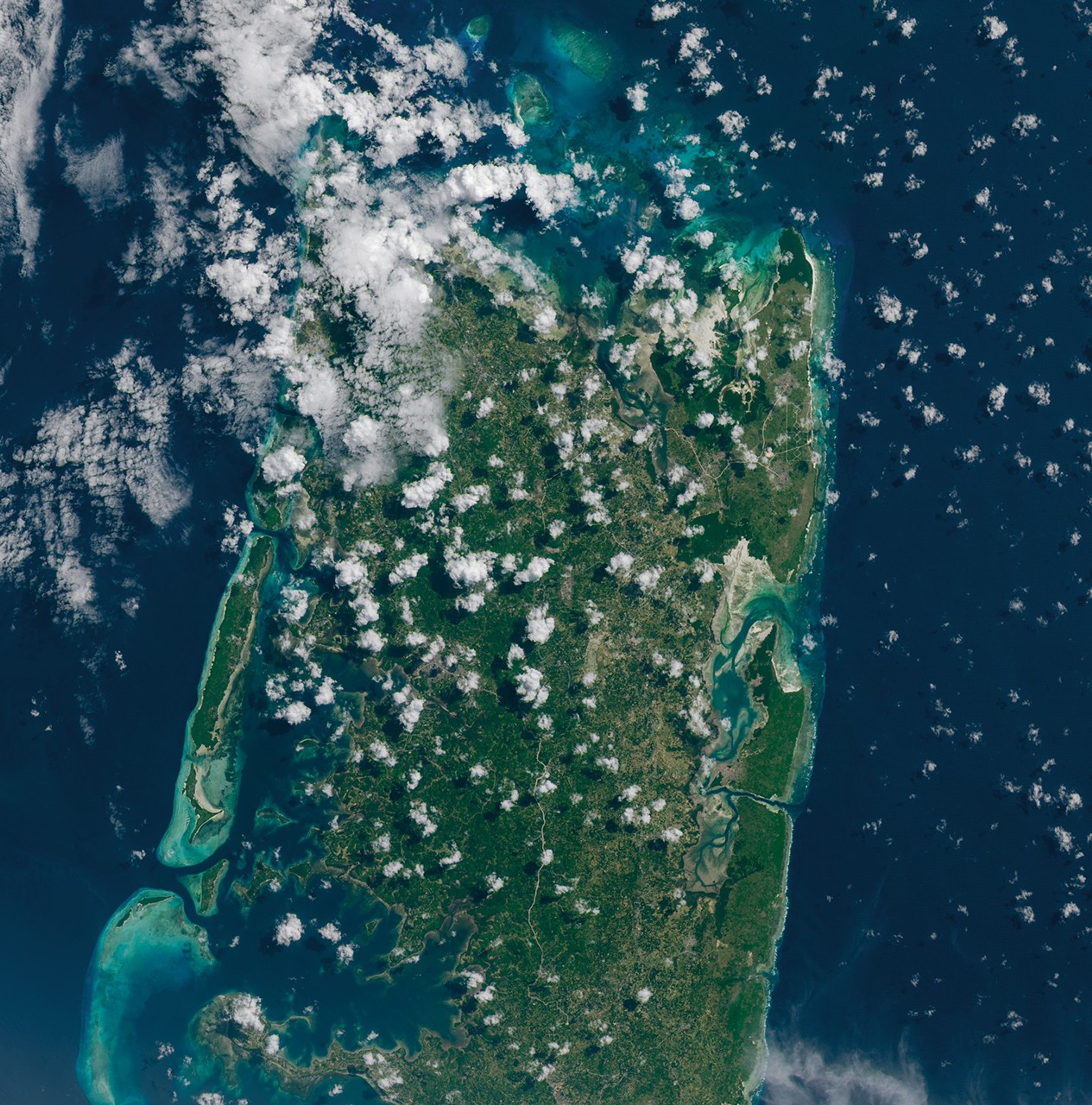 A Seaweed Economy Tied to the Tides