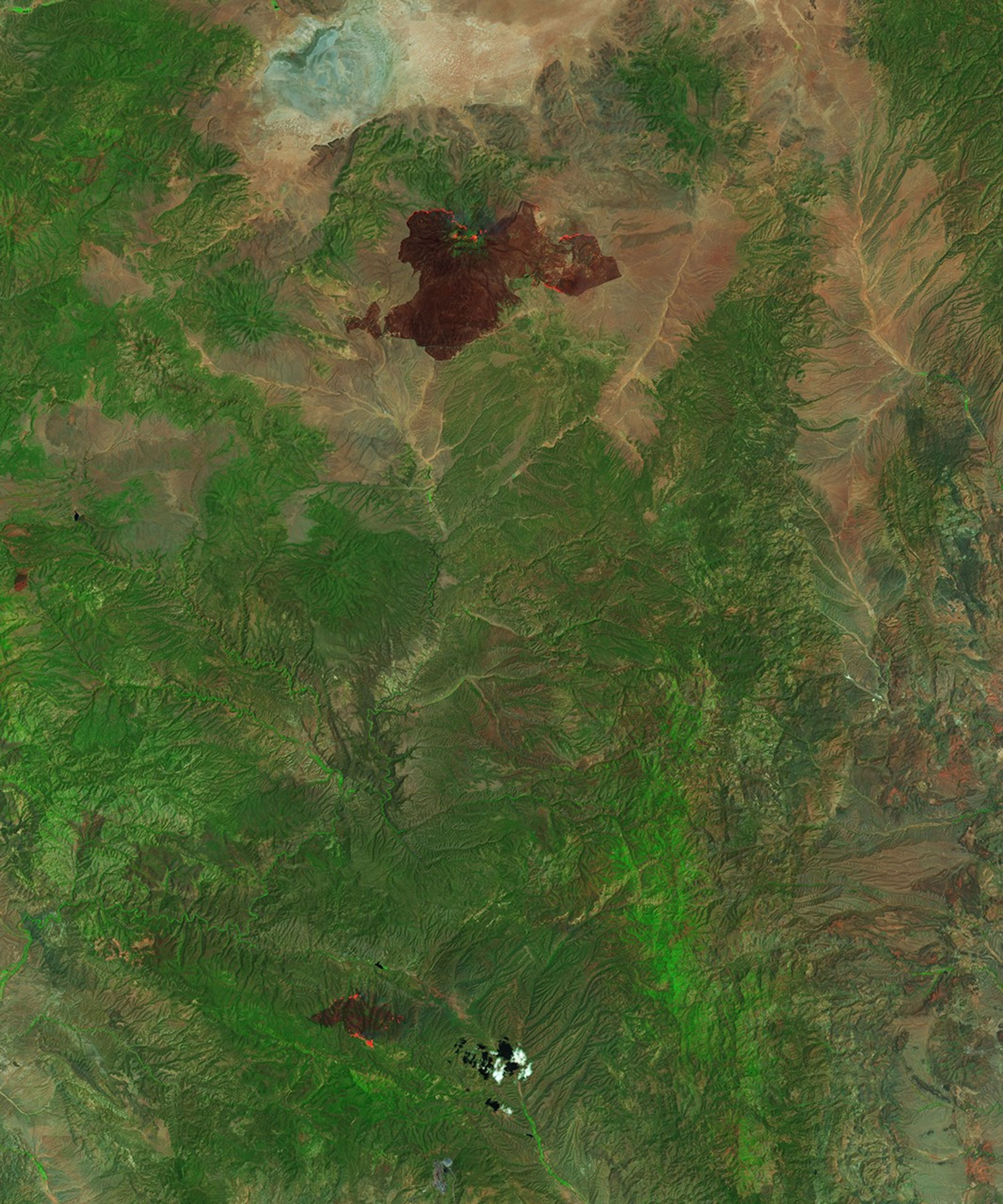 New Mexico Battles Wildfires