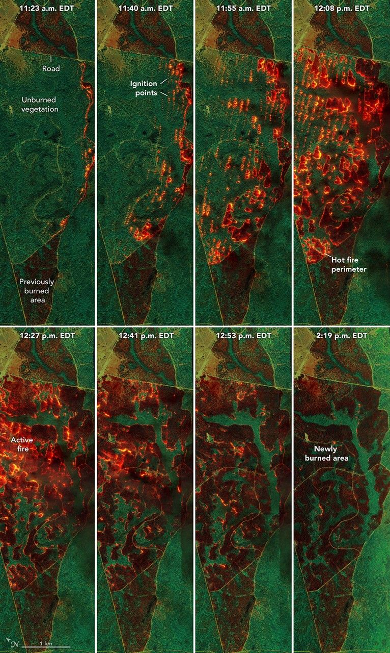 Mapping Fire's Spread in a Georgia Pine Burn - NASA Science