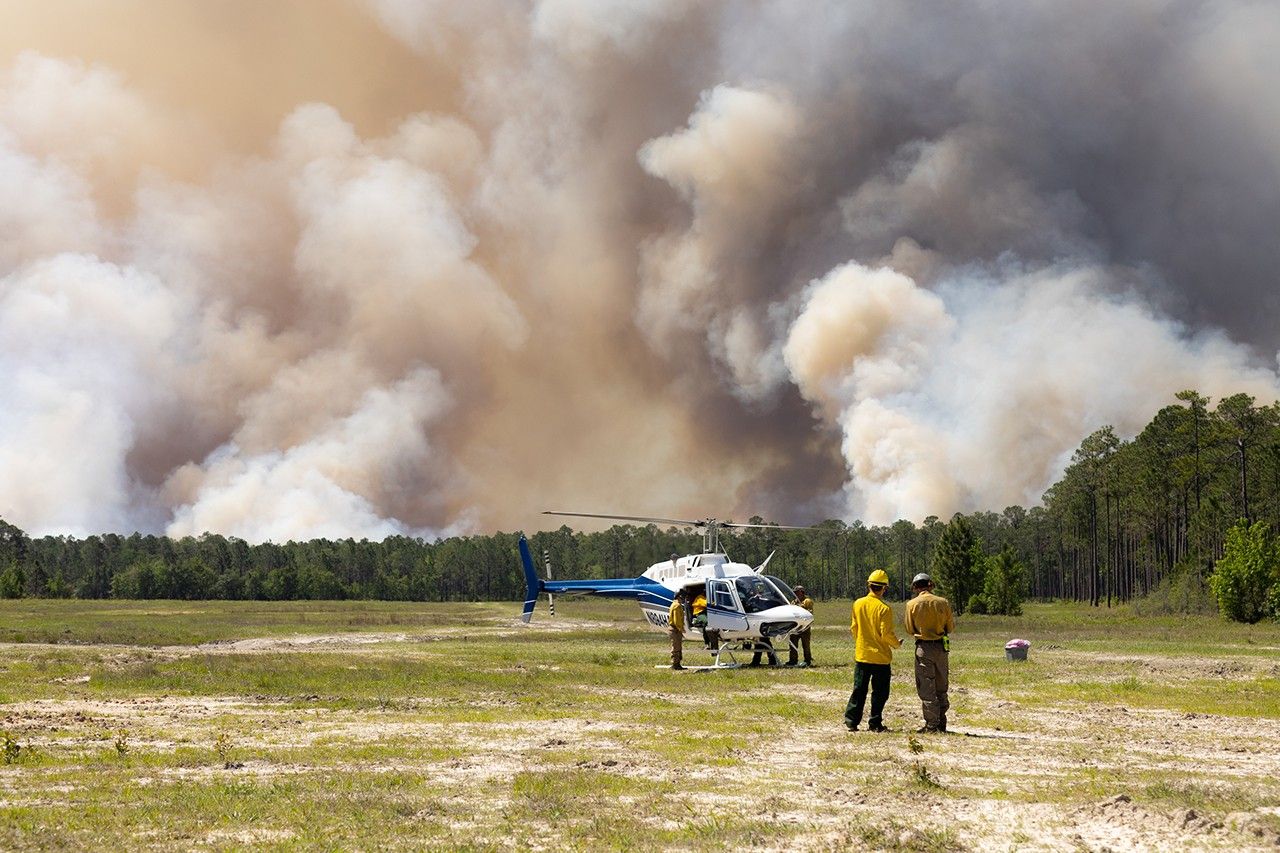 Mapping Fire's Spread in a Georgia Pine Burn - NASA Science
