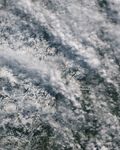 Fleeting Glimpse of Rare Snow