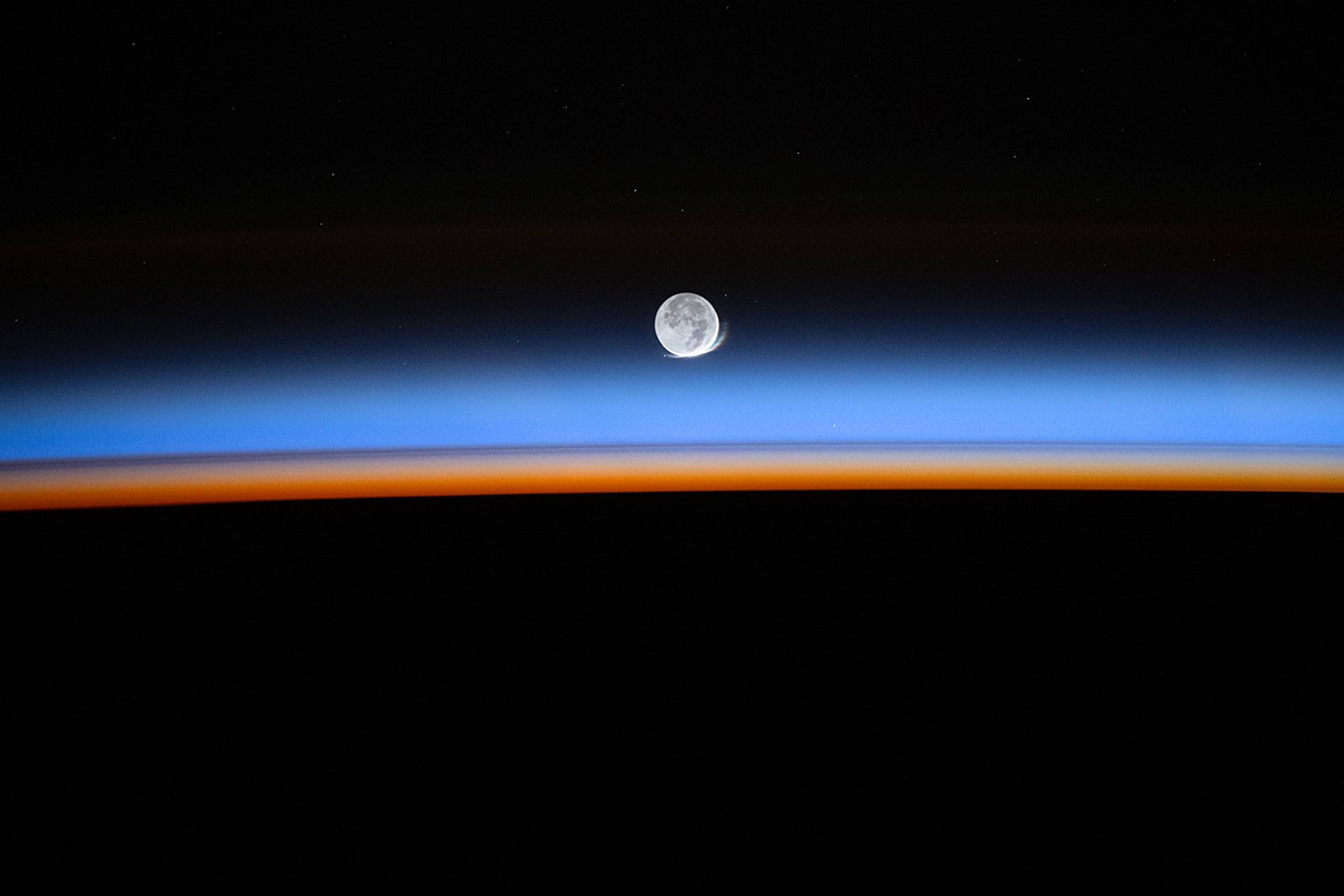 A Halo Above the Horizon