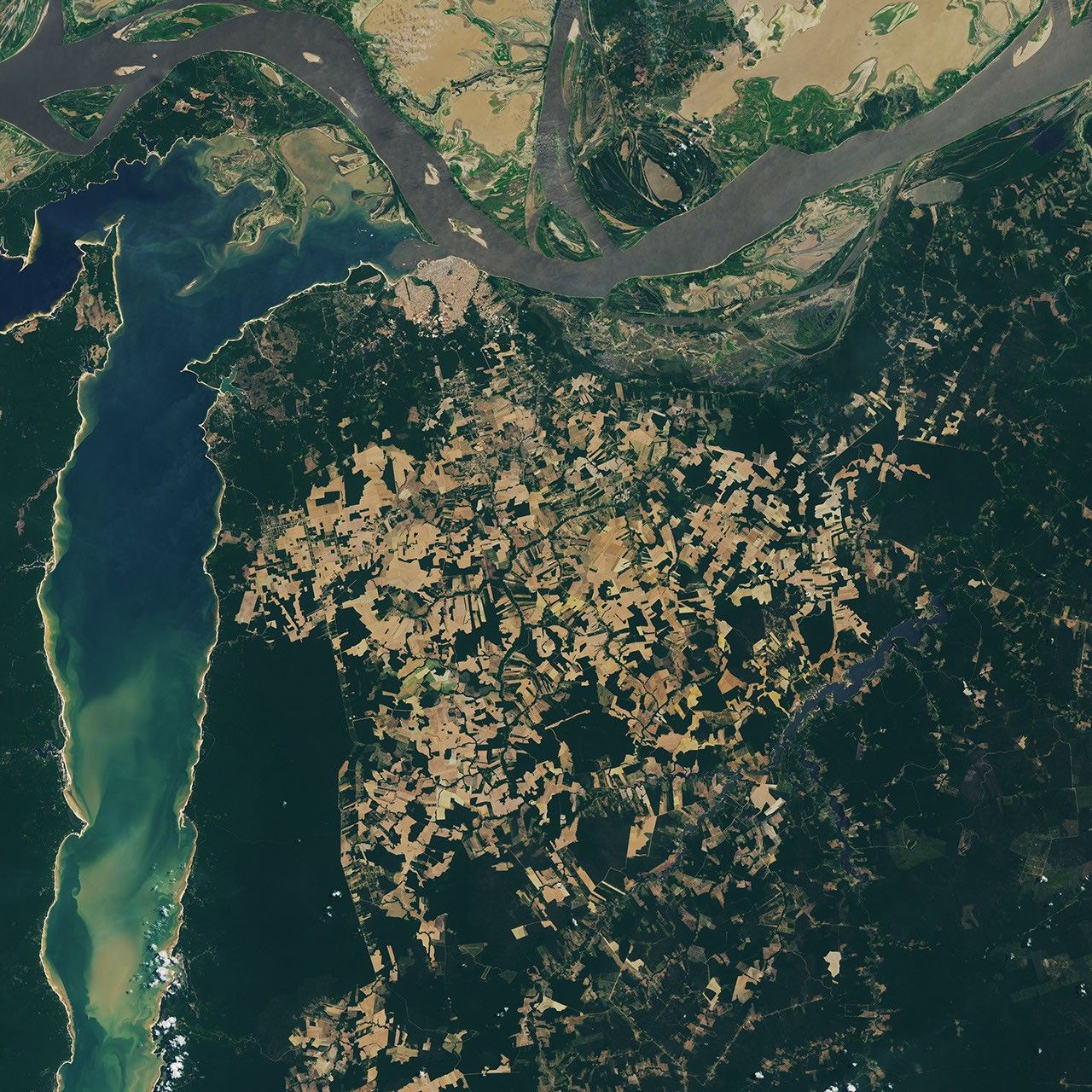 From Forest to Field in Pará