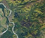 A Golden Moment for Boreal Forests