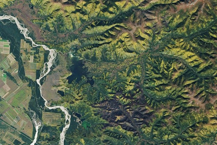 A Golden Moment for Boreal Forests