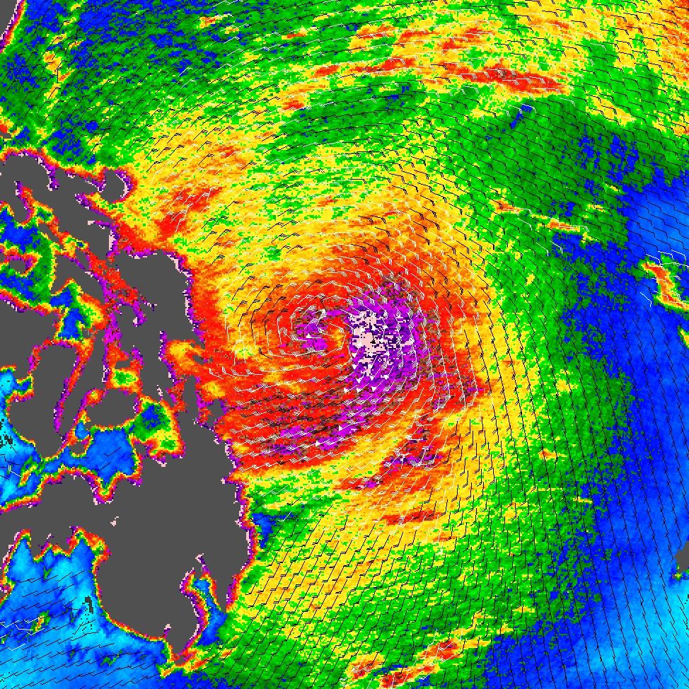 Typhoon Chanchu - NASA Science