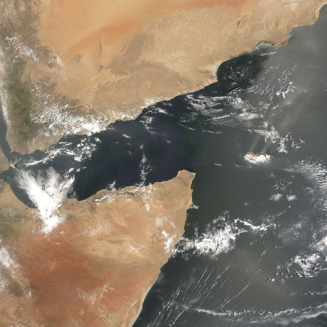 Dust Over the Gulf of Aden