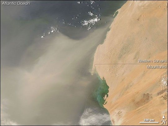 Dust Plume off Western Africa