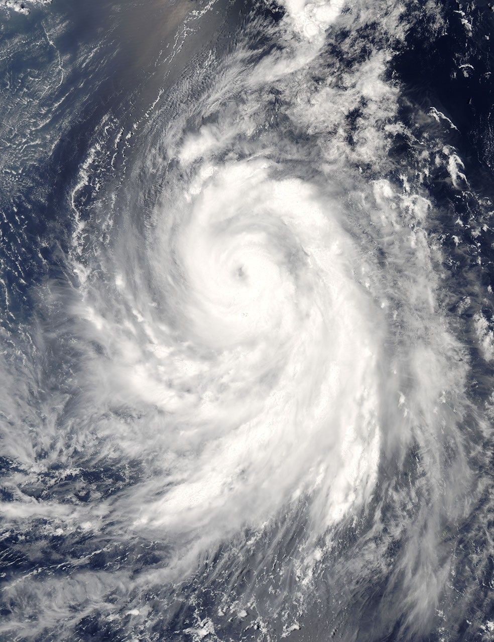 Typhoon Usagi