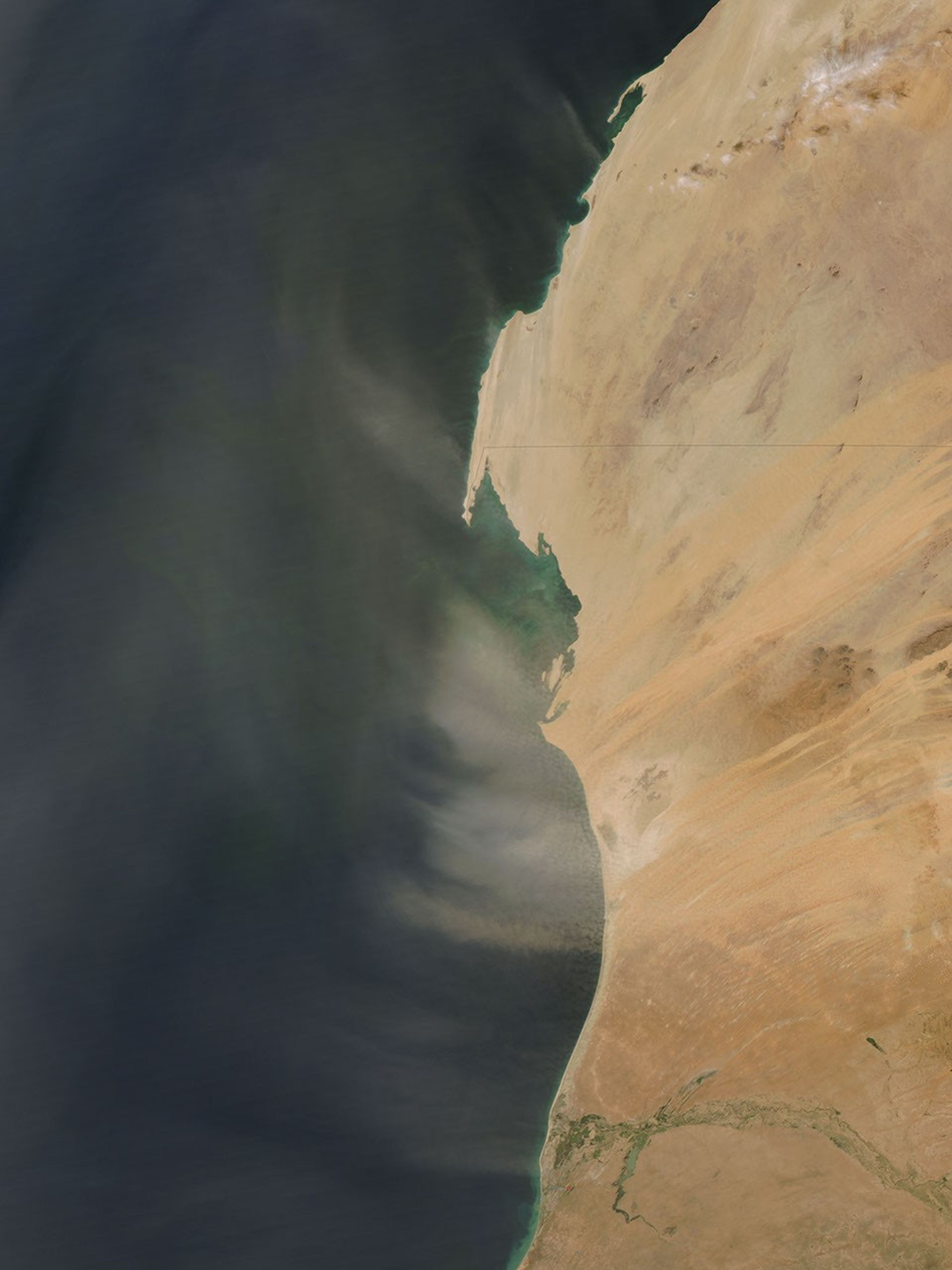 Dust Plumes off Western Africa