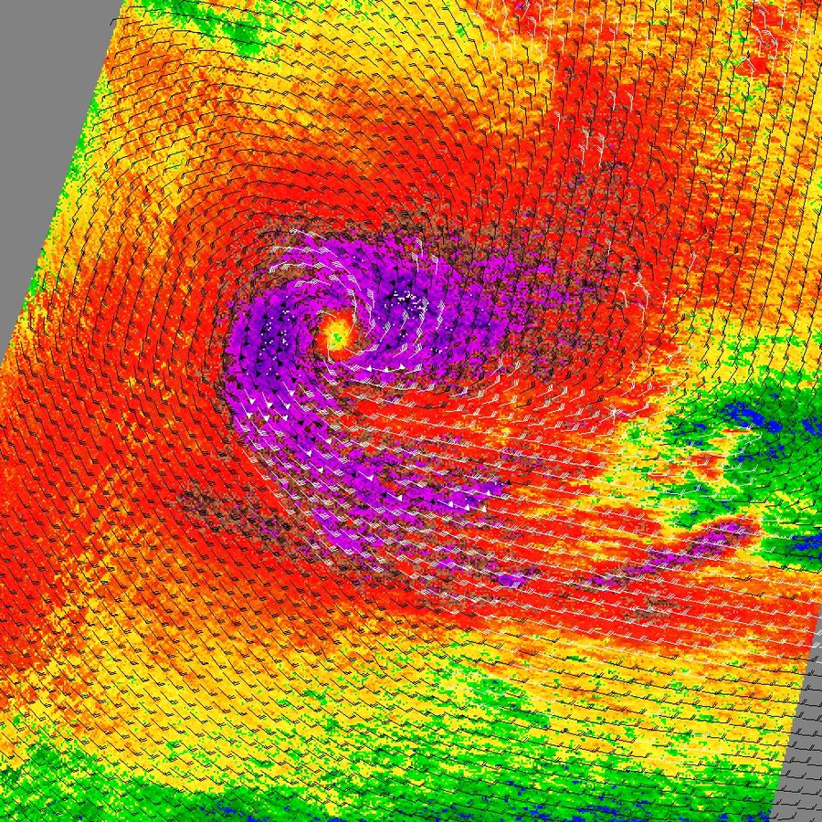 Cyclone Gene - NASA Science