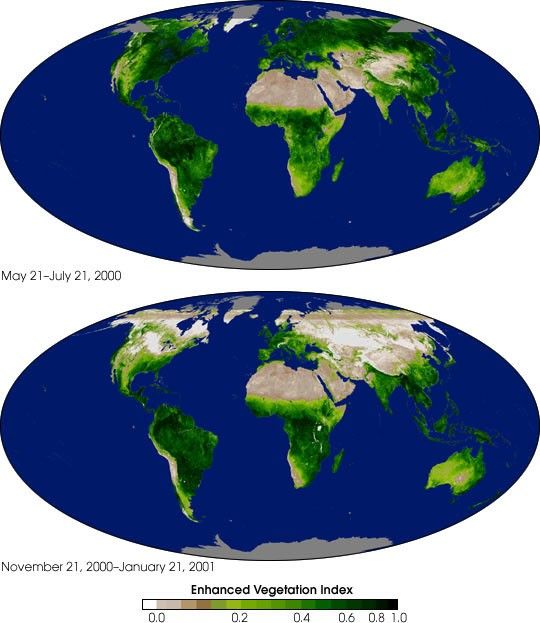 Global Enhanced Vegetation Index Measurements