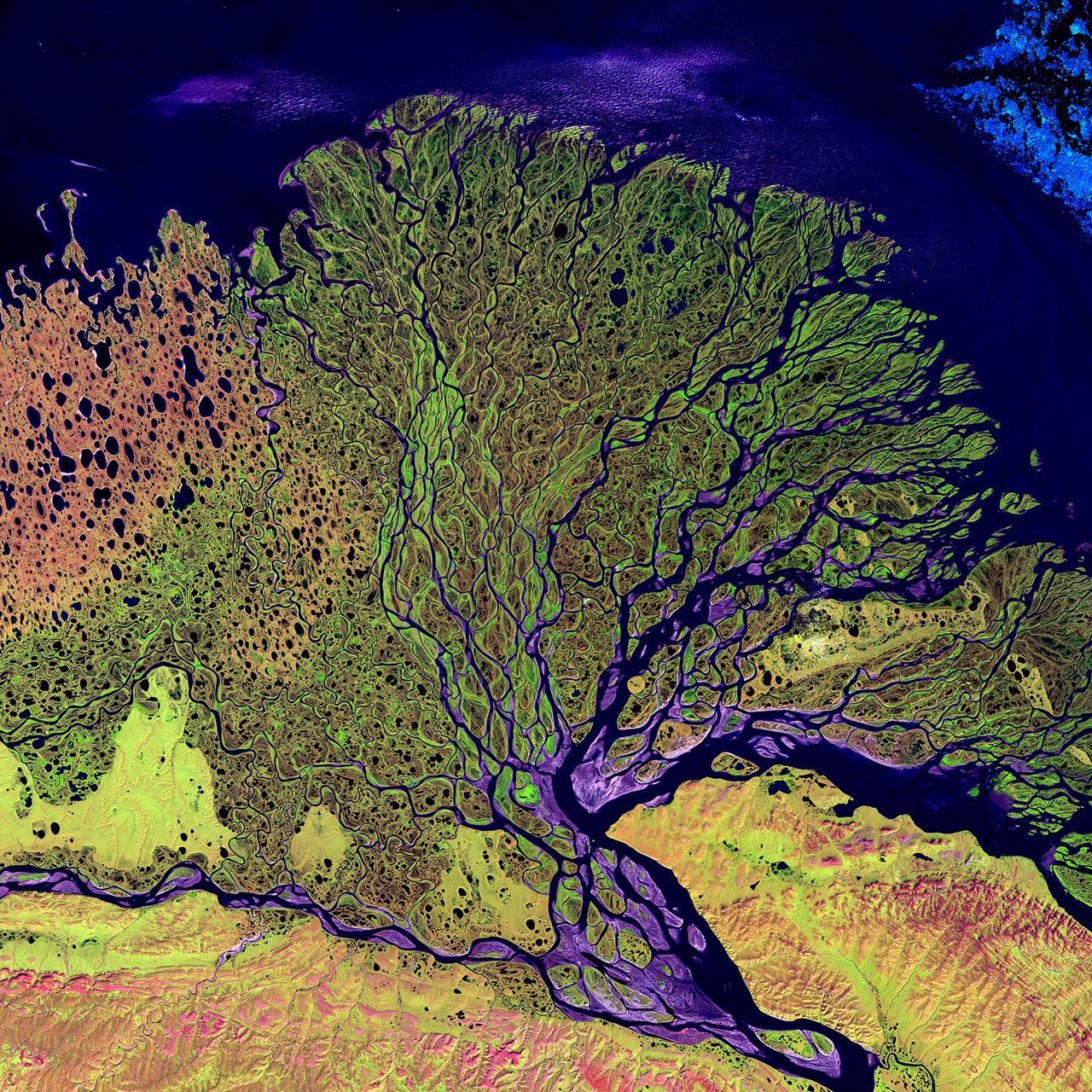 Lena River delta, Siberia, Russia