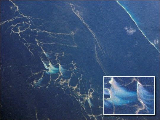 Plankton Blooms, Capricorn Channel