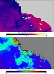 Phytoplankton Bloom off California’s Channel Islands