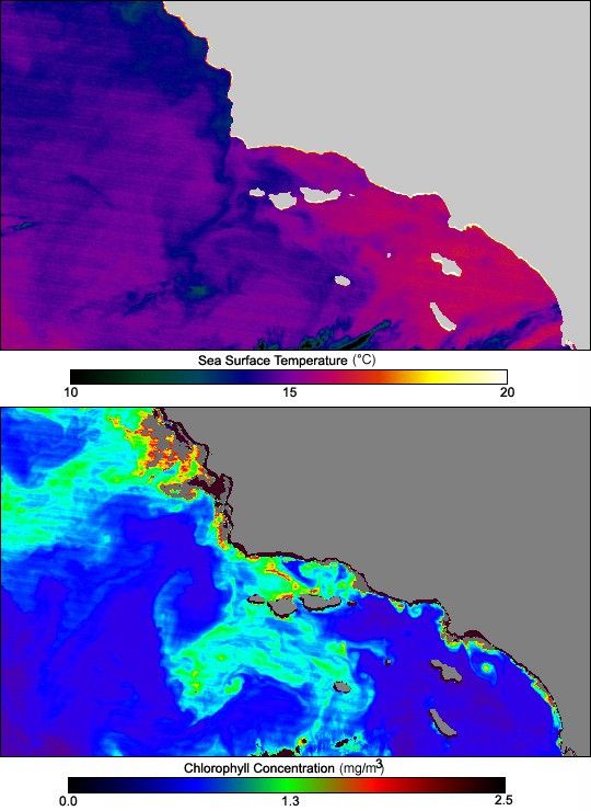 
			Phytoplankton Bloom off California’s Channel Islands - NASA Science			