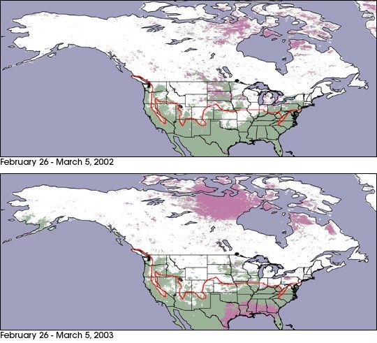 Mapping North America’s Wintry Weather