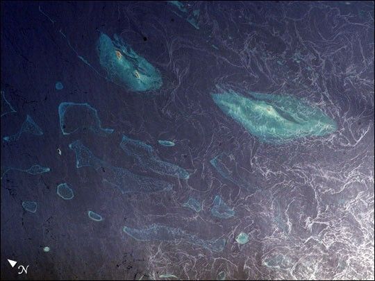 Above and Under the Red Sea