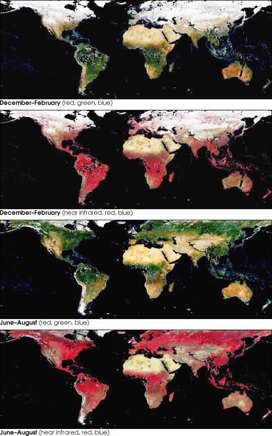 Global, Seasonal Surface Albedos - NASA Science