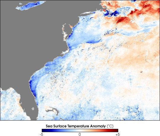 Cold Waters Along the Atlantic Coast