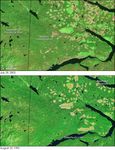 Forest Changes in British Columbia