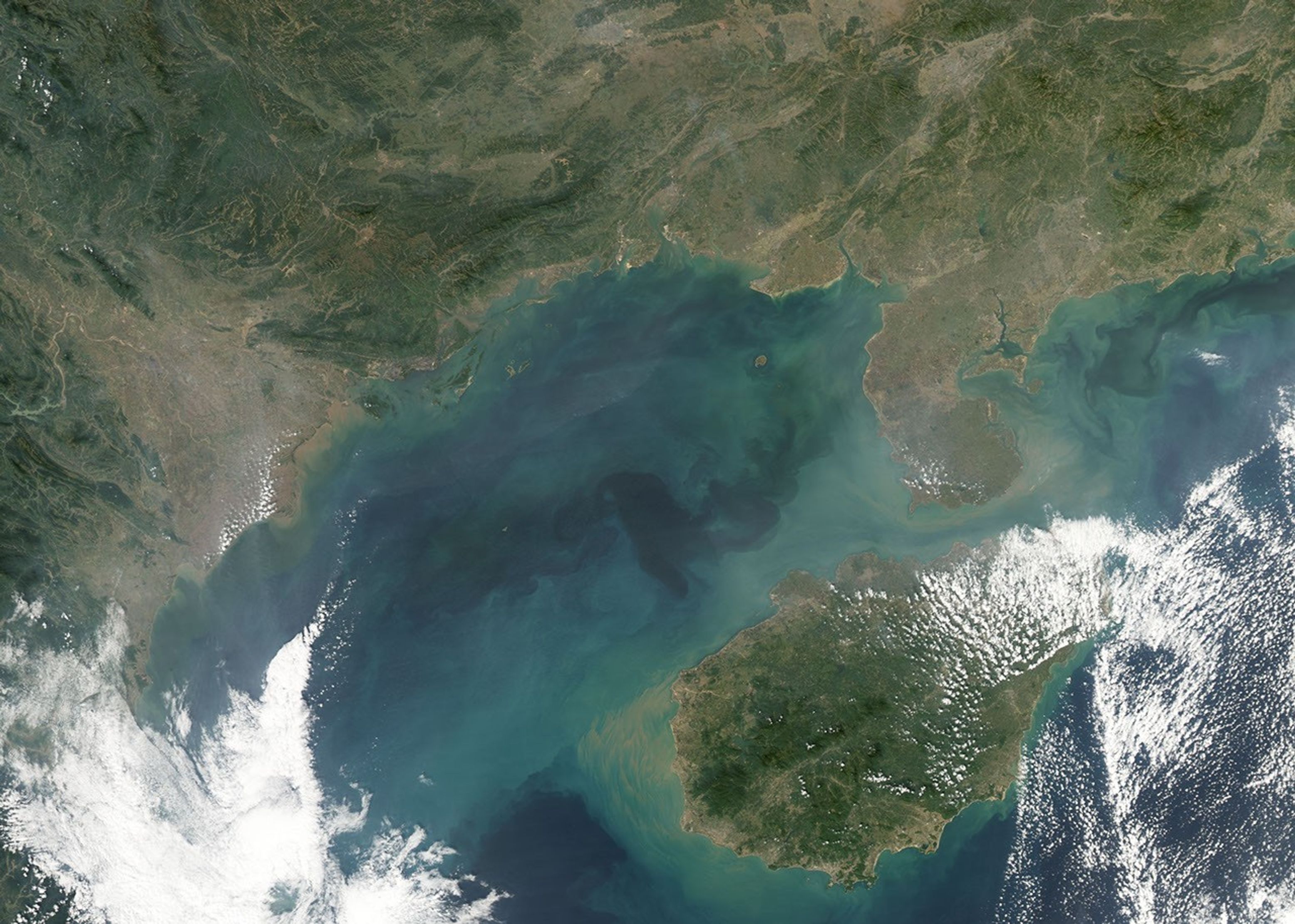 Chlorophyll in the Gulf of Tonkin