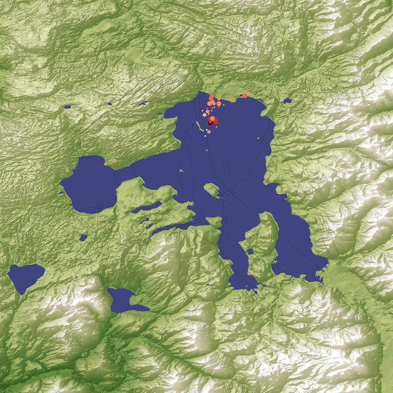 December 29, 2008 - January 6, 2009