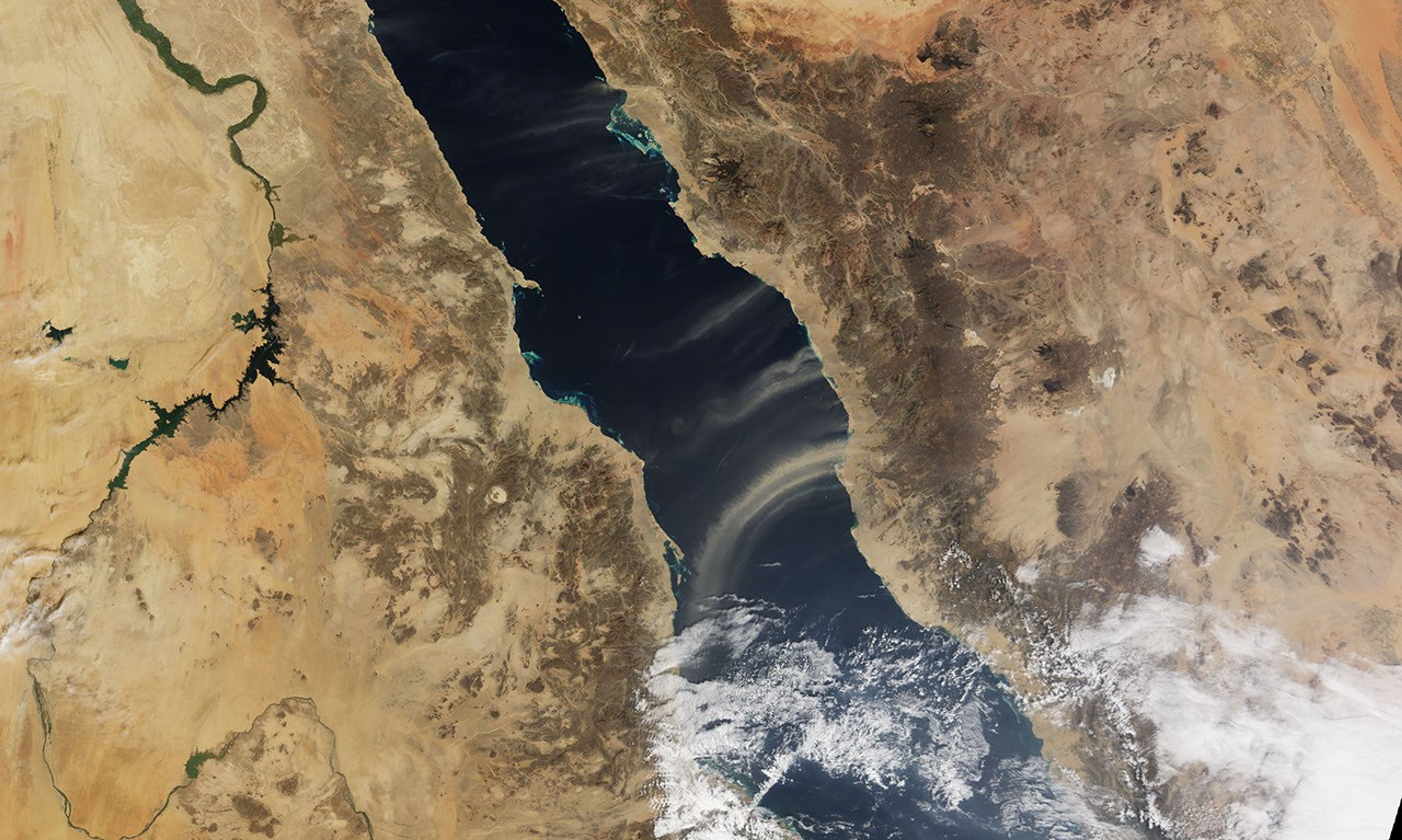 Dust Plumes over the Red Sea