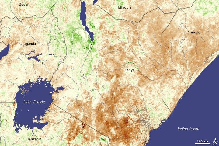 January 1 -  10, 2009